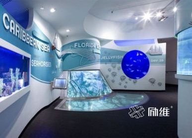 互聯(lián)網(wǎng)多媒體技術(shù)，在展廳中如何應用？